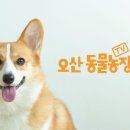 오산농장2 이미지