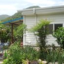 누리민박 이미지