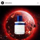 VINO(비노) 이미지