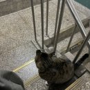 만복이 PC방 이미지