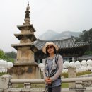 보림당 - 용산구 장문로 100 | [문경] 대중에게 일년에 한 번 문 여는 절집, 문경 봉암사