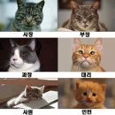 동키 이미지