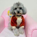 회원동225 이미지