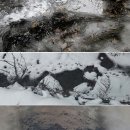 오시리가시리 이미지