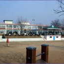 청원초등학교 이미지