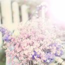 중년과새싹 이미지