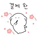정다운포차 이미지