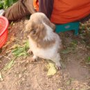 매곡보건진료소 이미지