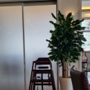 두드림 | [공지] 포천맛집 – 쟁반짜장, 짬뽕 깔끔한 중화요리두드림 후기