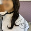 살롱드르와 이미지