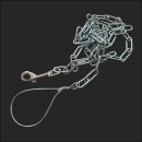 제이제이펫 이미지