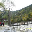 4289주유소 이미지