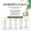 꽃드림플라워 이미지
