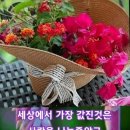 운동과 수명 이미지