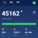 9월의 서른번째날...오늘의 도전은~?? 이미지