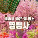 세종윤활유 이미지