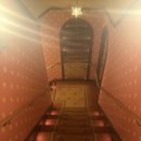 주식회사 다운 | 로스앤젤레스 디즈니 애너하임 카운트다운 2024 후기