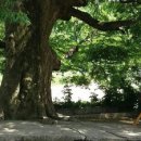 마장2리 이미지