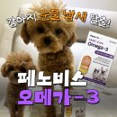 벳코어 | 강아지 오메가 3 페노비스 벳 멀티코어 솔직 급여 후기필수 영양제 눈물 냄새 탈출하기!