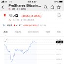 상장후 첫거래된 비트코인선물etf'BITO' 이미지