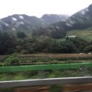 우리땅한우실비식당 이미지