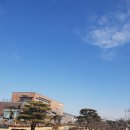 동읍382 | ((창원 동읍 카페)) 델쿠스코