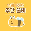 [주간 회고] 11월 1주차 - 새로운 시작과 경험이 많았던 한 주