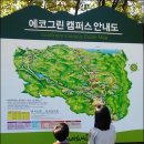 새말목장 이미지