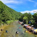 평창베니스 | 국내 여름여행지 평창 흥정계곡 명당자리 계곡추천 best