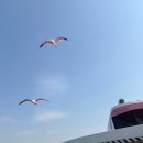 봄날오다 | 주말 아이와 한강나들이 마곡에서 여의도까지 한강버스탑승후기