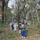 리라자연유치원 이미지