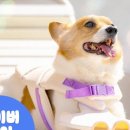 쌍곡쉼터 이미지