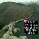 육이 이미지
