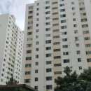 하단동1101 이미지