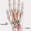 근앤본정형신경외과의원 이미지