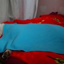 약골자전거도로 이미지