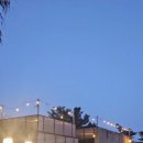 의귀환승정류장 이미지