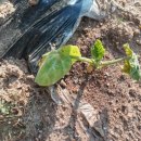 모악농장 이미지