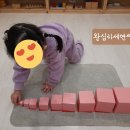 분홍탑