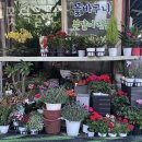 연수꽃식물원 이미지