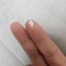폴라 | 폴라초이스 바하 내돈내산 120% 실제후기