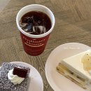 [대구/동성로] 오디너리 하우스 : 맛있는 디저트와...있는 예쁜 카페 내돈내산 후기 (케이크, 래밍턴...