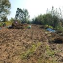 고덕면010 이미지