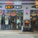 볼빨간거북이 네이버블로그
