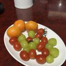 토마토노래연습장 이미지