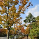 엠티PC방 | 시험기간 전까지 조금만 더 웃어요