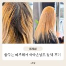 더꿈헤어 | 파주 탈색 맛집 꿈꾸는 하루헤어 극손상모 탈색후기