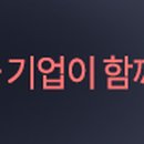31바 5049 이미지