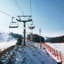 휘닉스파크 이미지