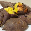 동해바다횟집 이미지